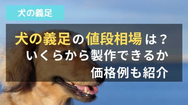 犬の義足の値段相場は いくらから製作できるか価格例も紹介 動物義足ナビ