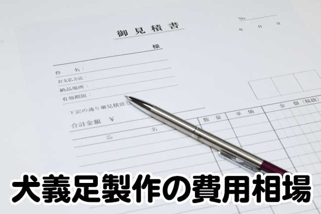 犬の義足の値段相場は いくらから製作できるか価格例も紹介 動物義足ナビ