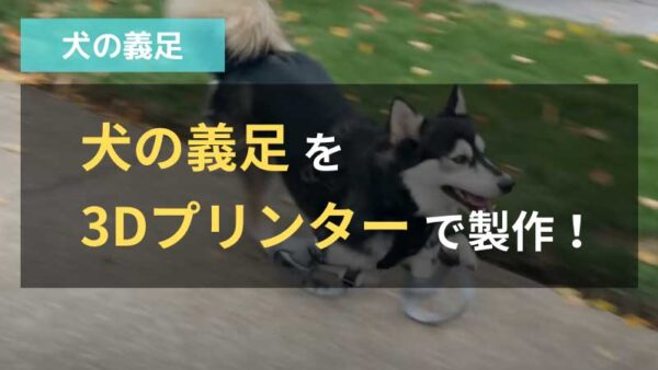 犬の義足の値段相場は いくらから製作できるか価格例も紹介 動物義足ナビ