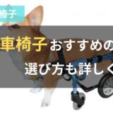 犬の車椅子おすすめの10選｜選び方も詳しく紹介