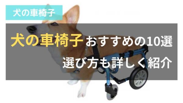犬の車椅子おすすめの10選｜選び方も詳しく紹介 | 動物義足ナビ